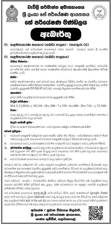 Management Assistant - Sri Lanka Tea Board