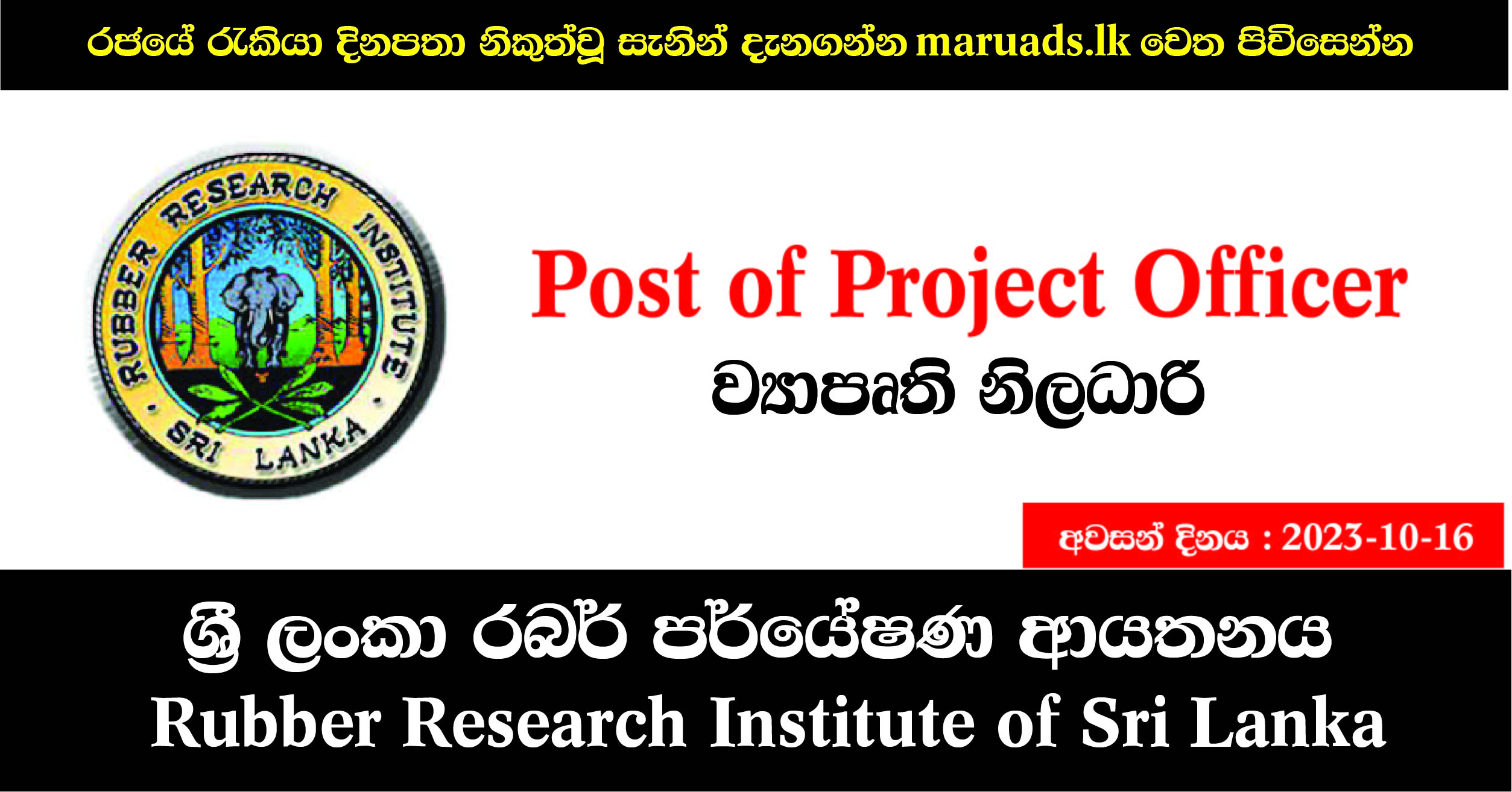 Project Officer Rubber Research Institute of Sri Lanka