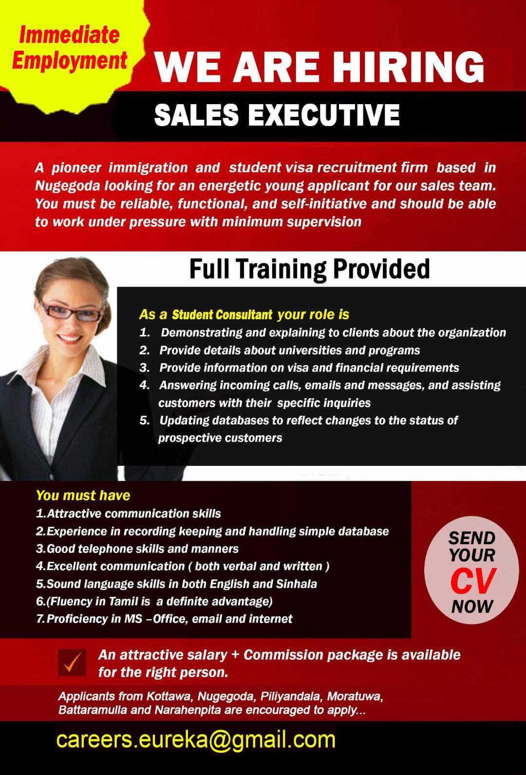 Sales Executive - Eureka Consultants