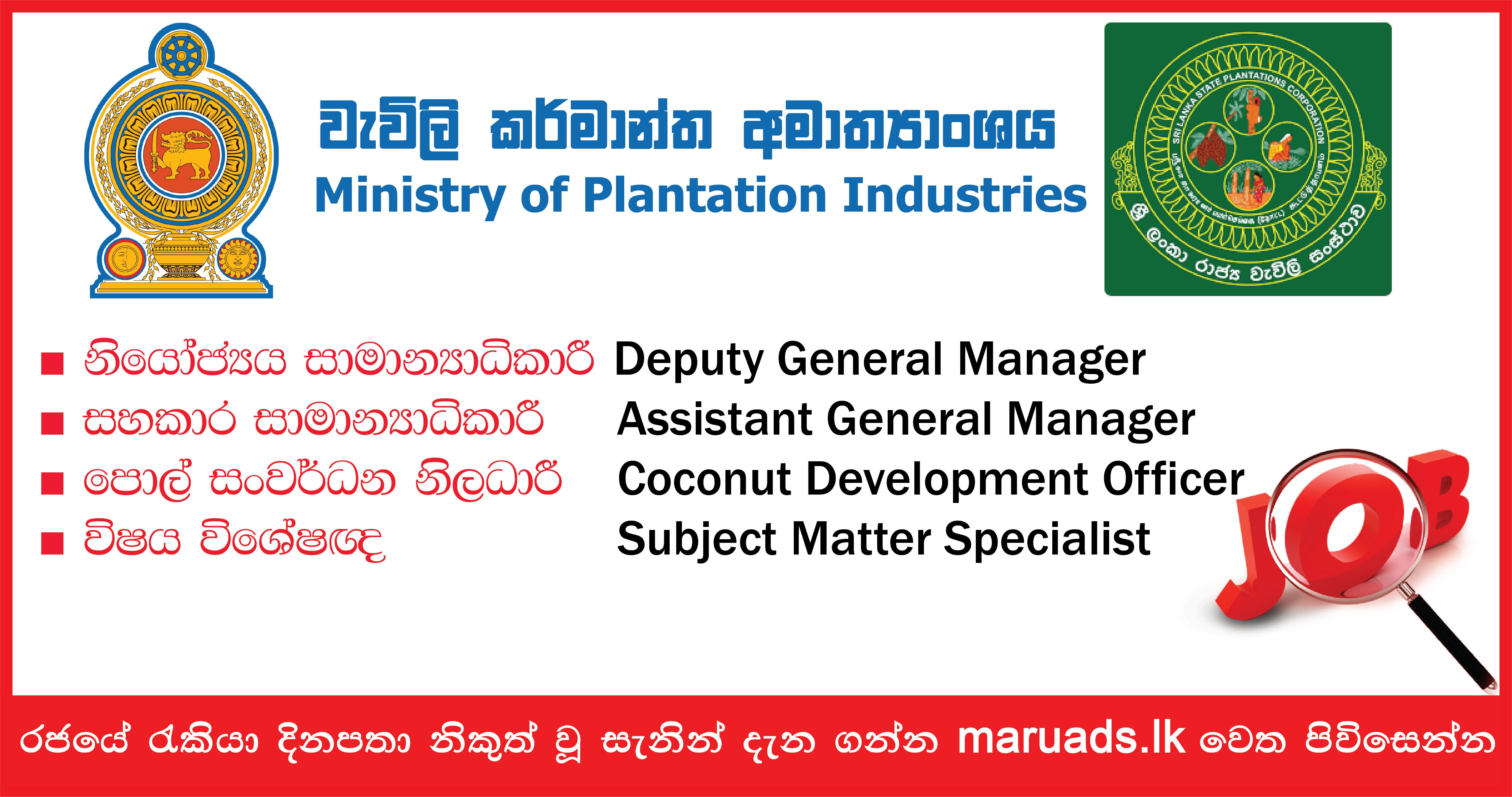 Deputy General Manager Assistant General Manager Ministry Of