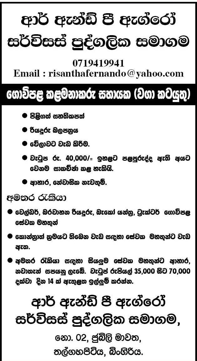 Assistant Farm Manager - R & P Agro Services Pvt Ltd