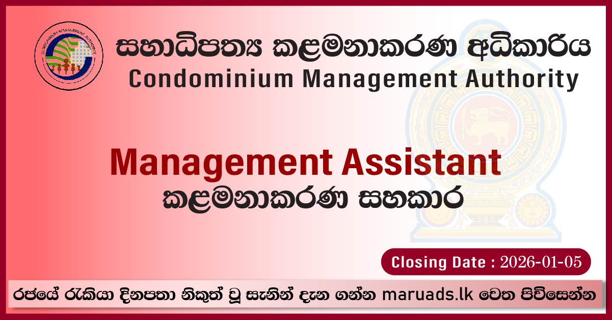 Management Assistant, Accounts Officer, Deputy General Manager ...