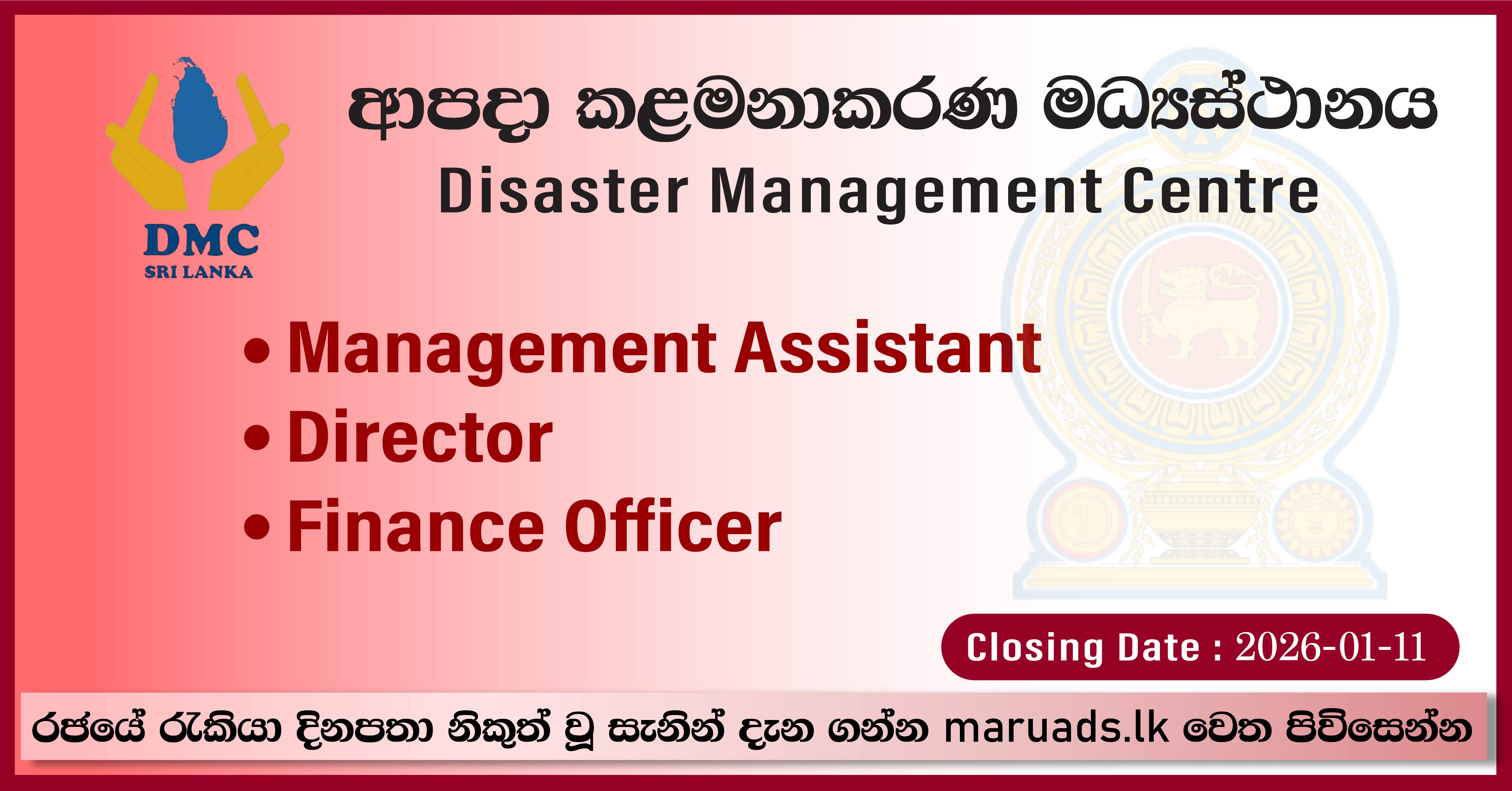Director, Management Assistant, Finance Officer - Disaster Management ...