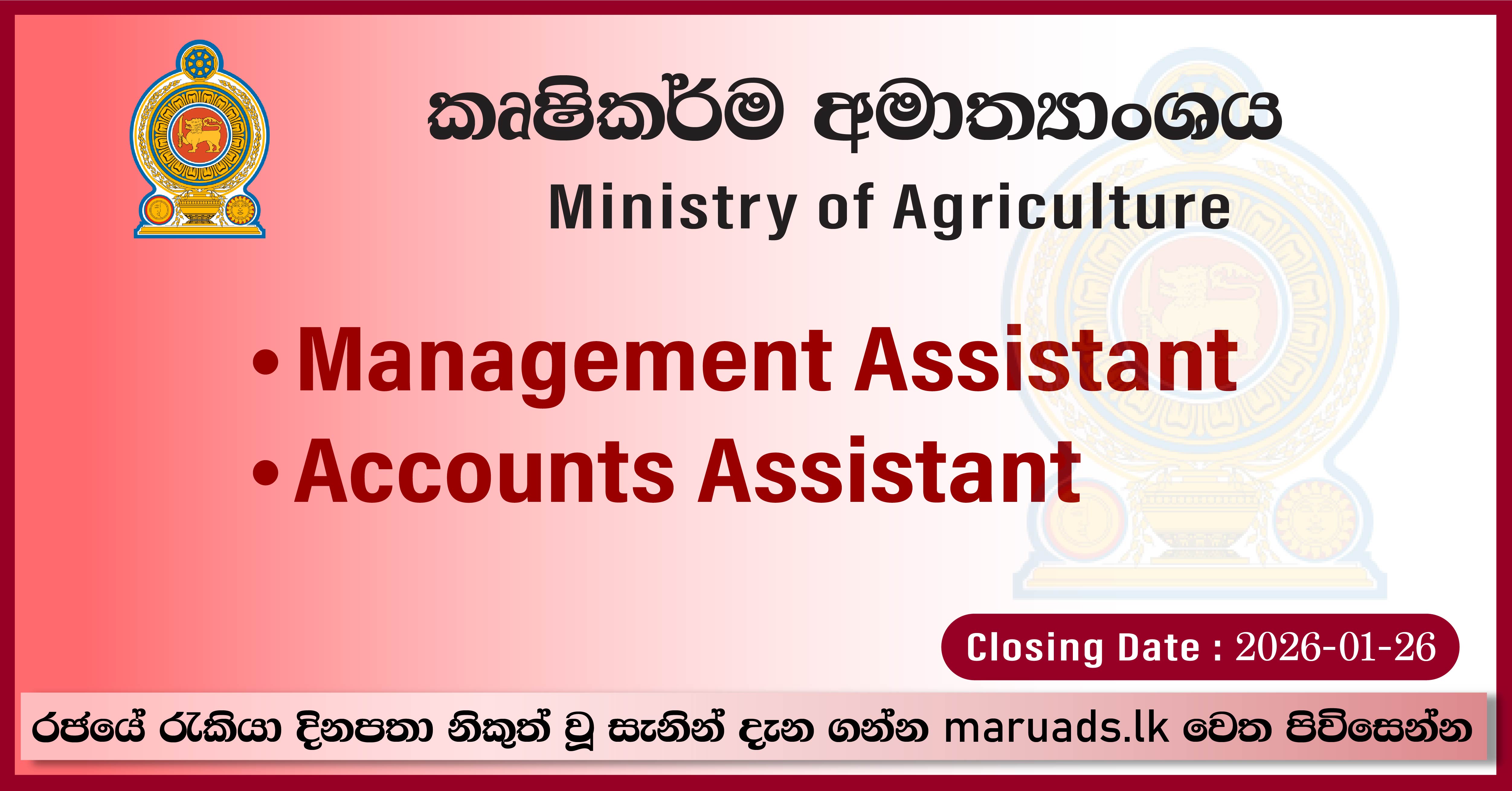 Management Assistant, Accounts Assistant - Ministry of Agriculture