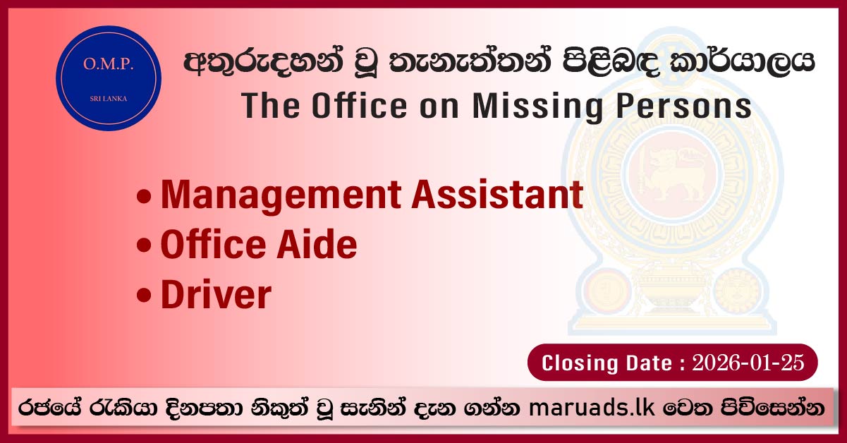 Management Assistant, Office Aide, Driver - The Office on Missing Persons