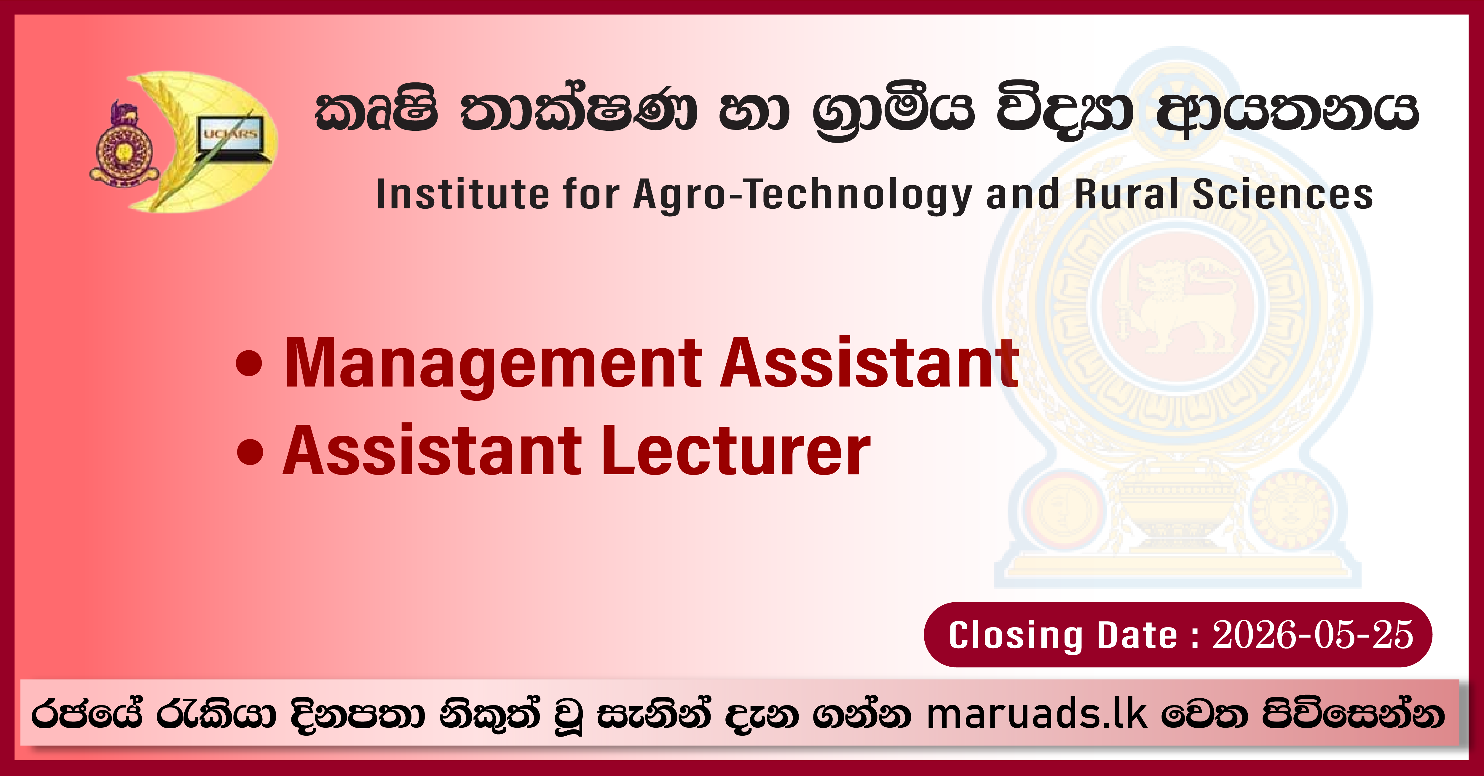 Management Assistant, Assistant Lecturer - Institute for Agro ...