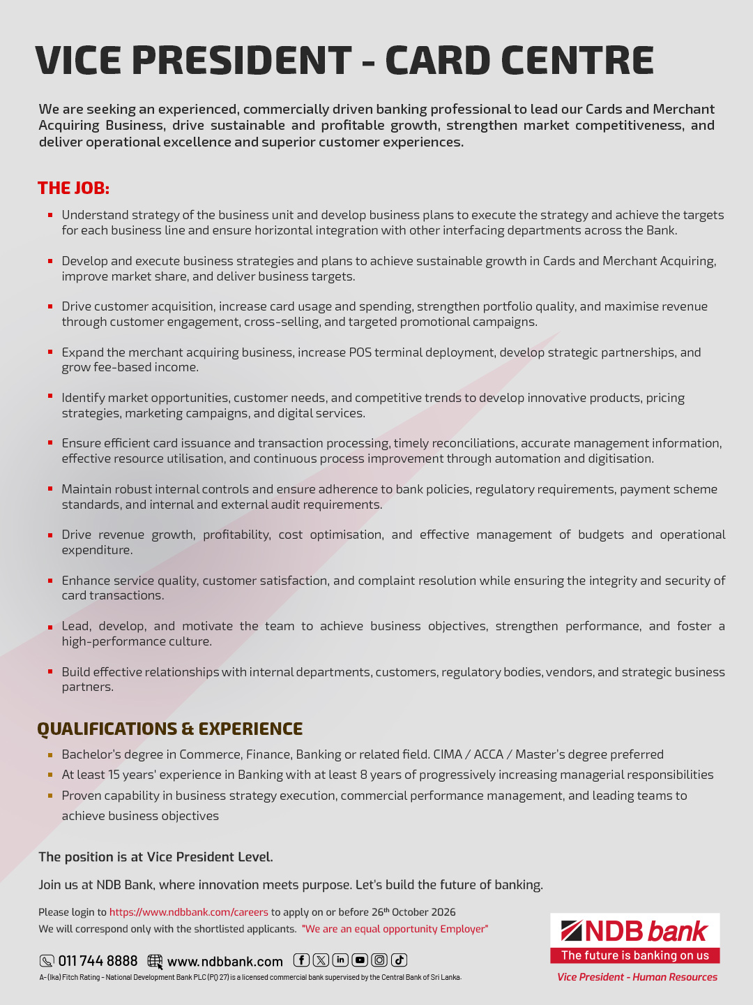 Vice President - National Development Bank