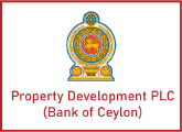 Job Vacancies in Property Development PLC