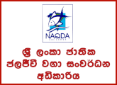 Government and Private National Aquaculture Development Authority Job ...
