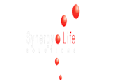 Job Vacancies in Synergy Life Solution