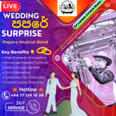 Mr. Papare : The Ultra Professional Live Papare Band පපරේ බෑන්ඩ්