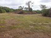 Sinnakkara Land for Sale in Galgamuwa